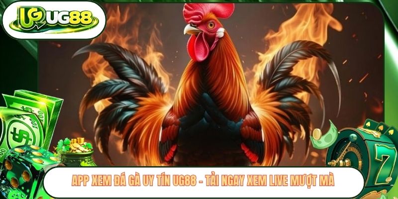 App Xem Đá Gà Uy Tín Ug88 - Tải Ngay Xem Live Mượt Mà