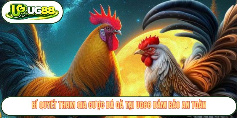 Bí quyết tham gia cược đá gà tại UG88 đảm bảo an toàn Bí quyết tham gia cược đá gà tại UG88 đảm bảo an toàn