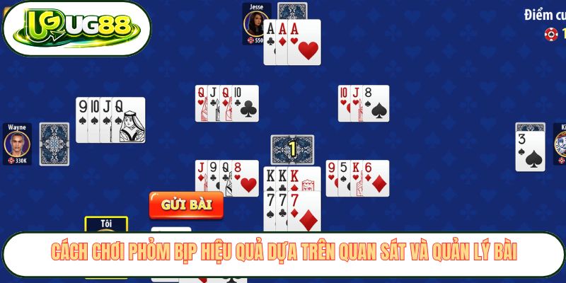 Cách chơi phỏm bịp hiệu quả dựa trên quan sát và quản lý bài