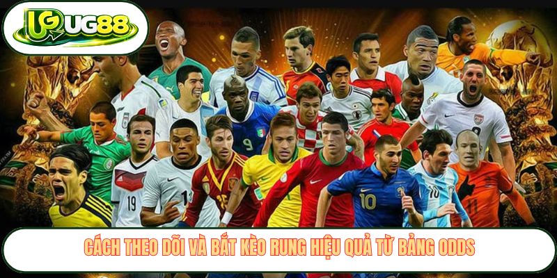 Cách theo dõi và bắt kèo rung hiệu quả từ bảng odds