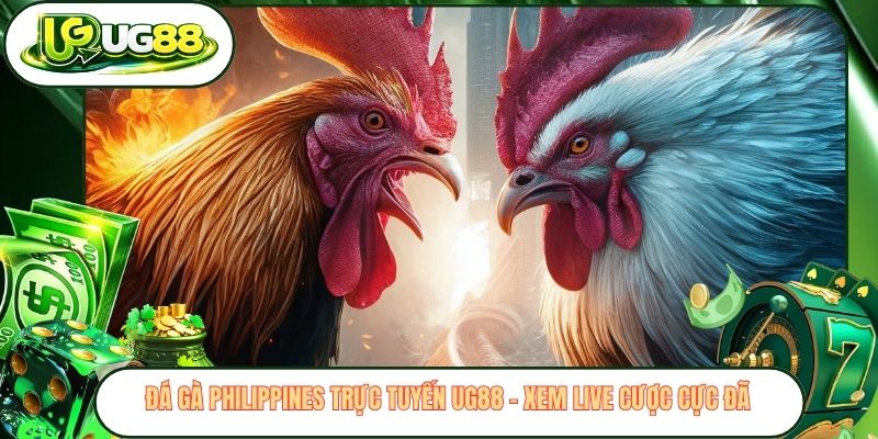 Đá Gà Philippines Trực Tuyến UG88 - Xem Live Cược Cực Đã