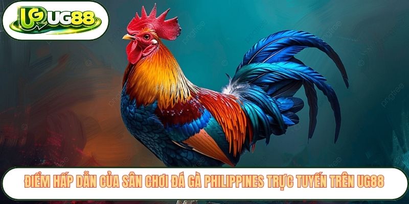 Điểm hấp dẫn của sân chơi đá gà Philippines trực tuyến trên UG88 Điểm hấp dẫn của sân chơi đá gà Philippines trực tuyến trên UG88
