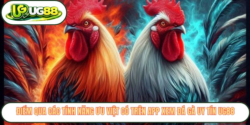 Điểm qua các tính năng ưu việt có trên app xem đá gà uy tín UG88 Điểm qua các tính năng ưu việt có trên app xem đá gà uy tín UG88