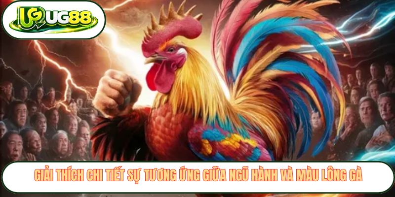 Giải thích chi tiết sự tương ứng giữa ngũ hành và màu lông gà Giải thích chi tiết sự tương ứng giữa ngũ hành và màu lông gà