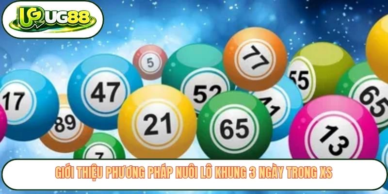 Giới thiệu phương pháp nuôi lô khung 3 ngày trong XS Giới thiệu phương pháp nuôi lô khung 3 ngày trong XS