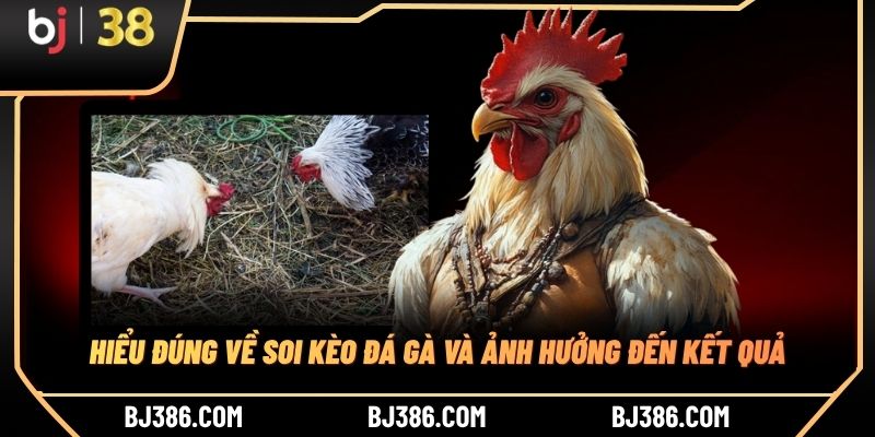 Hiểu đúng về soi kèo đá gà và ảnh hưởng đến kết quả Hiểu đúng về soi kèo đá gà và ảnh hưởng đến kết quả