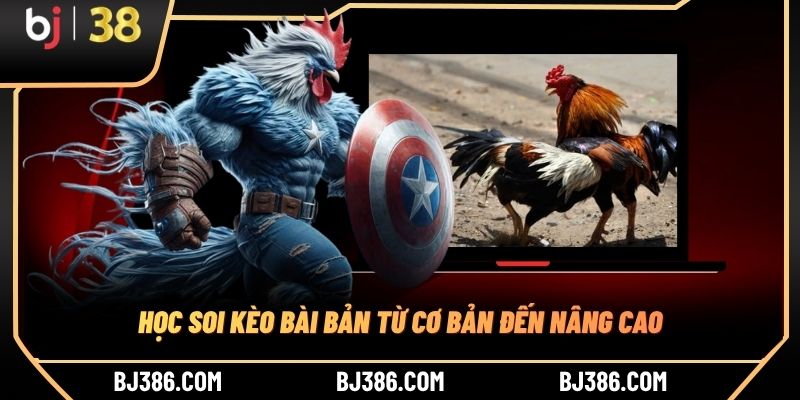 Học soi kèo bài bản từ cơ bản đến nâng cao Học soi kèo bài bản từ cơ bản đến nâng cao