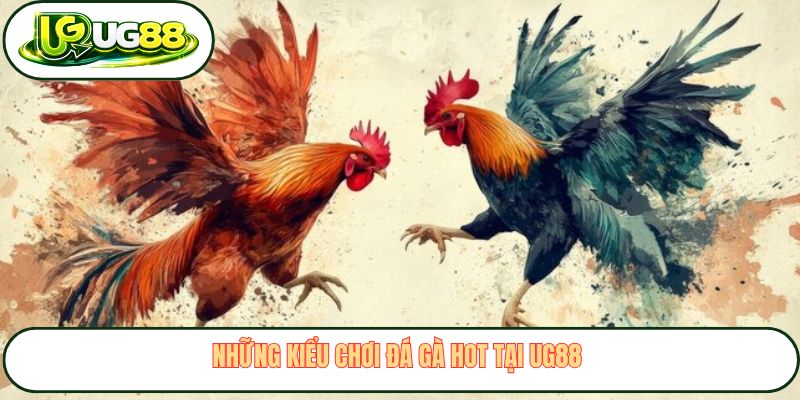 Những kiểu chơi đá gà hot tại UG88