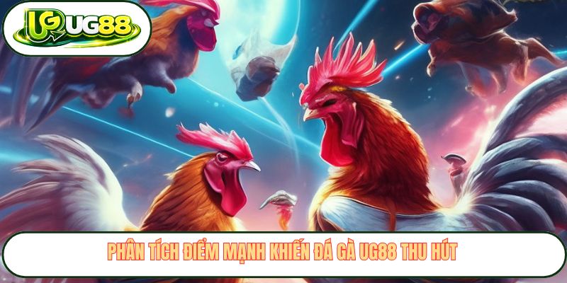 Phân tích điểm mạnh khiến đá gà UG88 thu hút