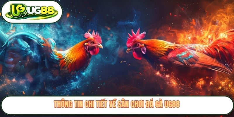 Thông tin chi tiết về sân chơi đá gà UG88