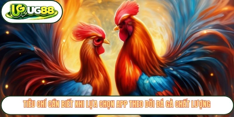 Tiêu chí cần biết khi lựa chọn app theo dõi đá gà chất lượng Tiêu chí cần biết khi lựa chọn app theo dõi đá gà chất lượng