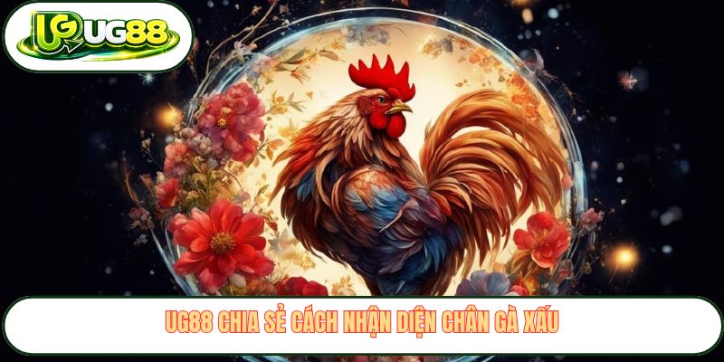 UG88 chia sẻ cách nhận diện chân gà xấu